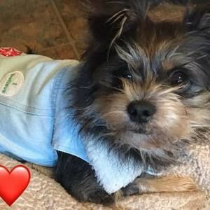 Meet your Posher, Jody